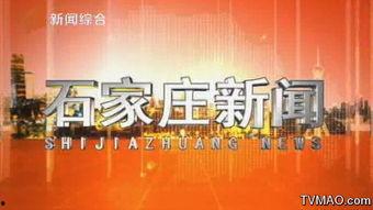 石家庄近期爆料新闻事件,揭秘背后真相与影响  第2张
