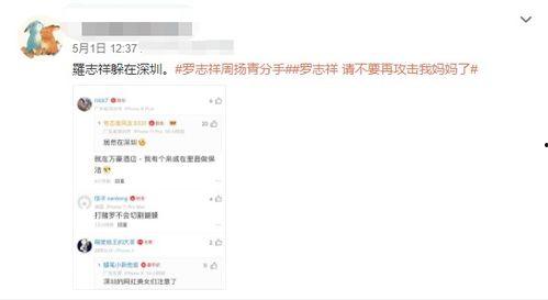 深圳网友爆料小猪视频,小猪视频引发热议，真相究竟如何？